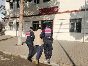 Jandarma Ekiplerince Yakalanan Firari Şahıs Tutuklandı