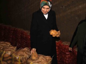 Bu Depolarda Patates Doğal Yöntemlerle En Az 1 Yıl Saklanıyor