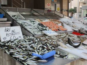 Balık Sezonunda Sona Yaklaşıldı, Tezgahlar Mezgit Ve İstavrite Kaldı