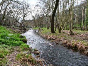 Tabiat Parkındaki Dere Temizlendi