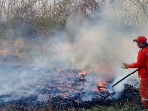 Ormanlık Alanda Çıkan Yangın Söndürüldü