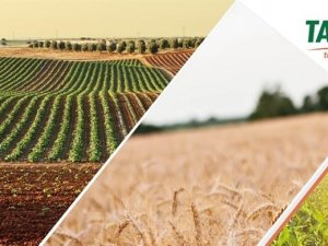 Hasar Fazlası Desteğine İlişkin Cumhurbaşkanı Kararı Yayımlandı