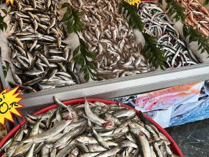 Hamsiden Sonra Tezgahların Yeni Gözdesi: Tirsi