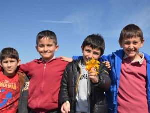 Unesco Listesindeki “Çiğdem Gezmesi" Geleneği Depremzedelerle Yaşatıldı