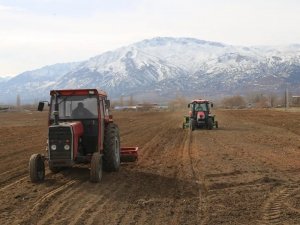 Belediye Tarıma El Attı