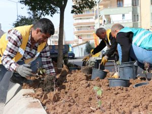 Şanlıurfa’da Çiçek Ekimi Yapıldı