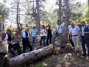 Oduncu Babanın 3 Çocuğu Ve Damadı ‘Orman Mühendisi’