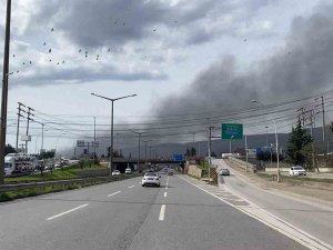 Kocaeli’de Fabrikada Çıkan Yangın Korkuttu