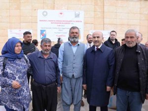 Mardin’de Yüzde 50 Hibe İle Çiftçilere 3 Bin Ton Yem Dağıtıldı