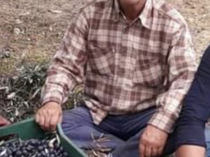 Kestiği Ağacın Altında Kalan Şahıs Hayatını Kaybetti