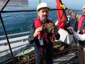 Doç. Dr. Coşkun Erüz: "Denizlerimiz Hızla Kirleniyor"