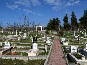 Kahraman Köpek Proteo’nun İsmi Kuşadası’nda Yaşayacak
