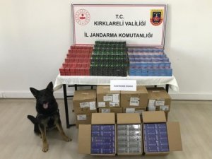 Kırklareli’nde 1 Ayda 49 Şüpheli Yakalandı