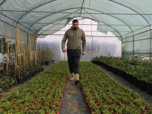 Depremin Ardından Bahçelere Yönelen Vatandaşların Fide Ve Bitkilere İlgisi Arttı