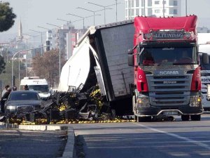 Dorse Çıktı Ürünler Yola Saçıldı