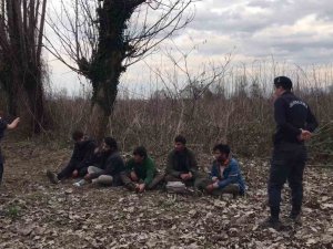 Ülkeye Kaçak Yollarla Giren 7 Yabancı Uyruklu Şahıs Yakalandı