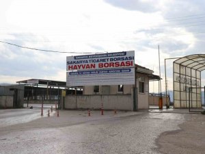 Şap Alarmı Hayvan Pazarlarını Kapattırdı: Yasağa Uymayanlara 46 Bin Lira Ceza Kesilecek