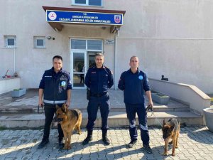 Eğitimlerini Tamamlayan 2 Köpek Jandarmaya Sahiplendirildi