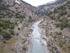 Depremde Tarihi Vicina Köprüsü De Yıkıldı