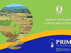 Bodrum Belediyesi’nin Topraksız Tarım Projesi, Nisan 2023’te Başlıyor