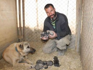 Anadolu’nun Minik Aslanları İlkbaharla Gözlerini Açtı: İ̇simleri Deprem, Acı, Hüzün Ve Can Oldu