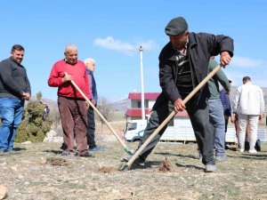 Korkuteli’de Antepfıstığı Yetiştiriciliği Yapılacak