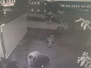 Elektrikli Bisikleti Elini Kolunu Sallaya Sallaya Çaldı
