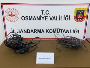 Telefon Direklerinden Kablo Hırsızlığına Tutuklama
