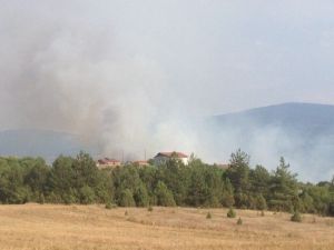 Araç’ta Çıkan Yangında 1 Samanlık Ve 2 Ahır Küle Döndü