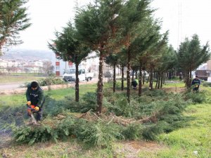 Derince’nin Sokakları Bahara Hazırlanıyor