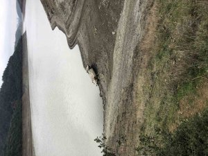 Alibey Barajı’nda Duran 3 Araç Çıkartıldı