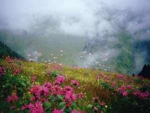 SİT ve Turizm Koruma Alanında Maden Arama İzni