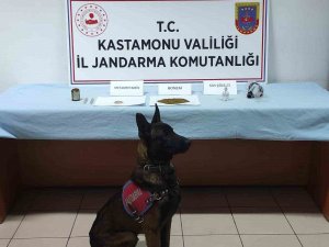 Kastamonu’da Uyuşturucu Operesyonu: 1 Gözaltı