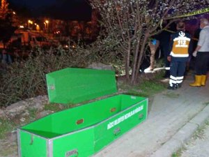 Oğlunun Evine Giderken Düştüğü Tarlada Hayatını Kaybetti