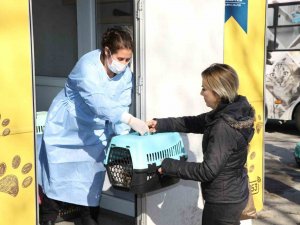 Sokak Kedilerine Kısırlaştırma Karavanı