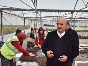 Yüz Binlerce Bitkiyi Gözü Gibi Bakarak Büyütüyorlar