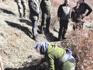 Simav’da 70 Bin Fidan Toprakla Buluşuyor