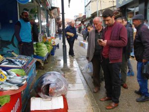 Elazığ’da 164 Kiloluk Dev Orkinosu Görenler Cep Telefonlarına Sarıldı