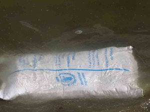 Feribottan Van Gölü’ne Düşen Vagonların İçindeki Torbalar Sahile Vurdu