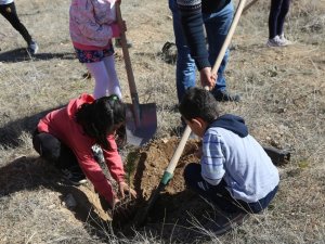 Fidan Dikimine Minikler De Katıldı