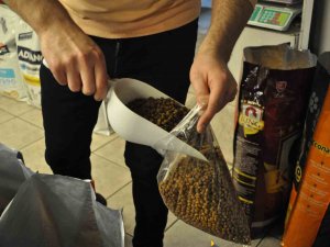 Kedi Besleyenlerin Ucuz Mamalara Talebi Arttı