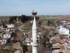 Önce Kazazede, Sonra Depremzede Oldu: "Yuvası Sapasağlam"