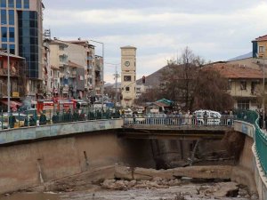 Oltu Çayı’nda Köpek Kurtarma Operasyonu