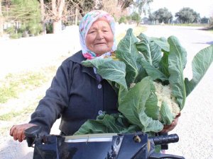 Ayşe Nine Üreterek Genç Kalıyor