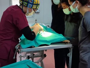 Veteriner Fakültesi Öğrencilerine Uygulamalı Eğitim