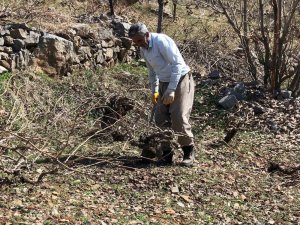 Beytüşşebap’ta Üzüm Bağlarında Budama İşleri Başladı