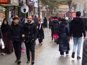 Van, Nevruz Tatiline Hazır