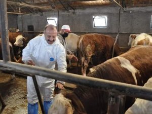 Müdür Özçalık, ”Şap Hastalığını Önlemek İçin Tüm Yetiştiricilerimizin Anlayış Ve Desteğini Bekliyoruz”