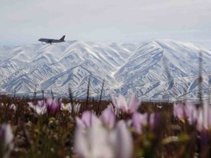 Yüksekova’da Baharın Müjdeleyicisi Kardelenler Çiçek Açtı