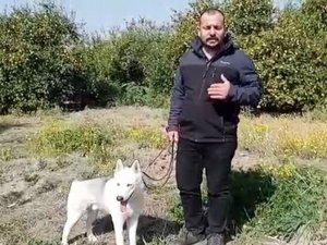 Depremzede Konteyner Almak İsterken 60 Bin Tl Dolandırıldı